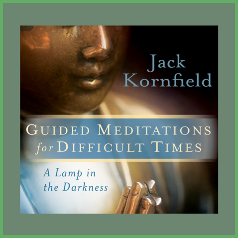 Guided Meditations for Difficult Times