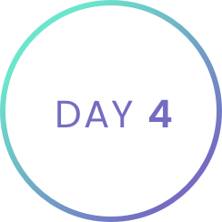 Day 4