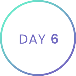 Day 6